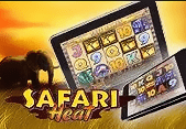 Safari Heat